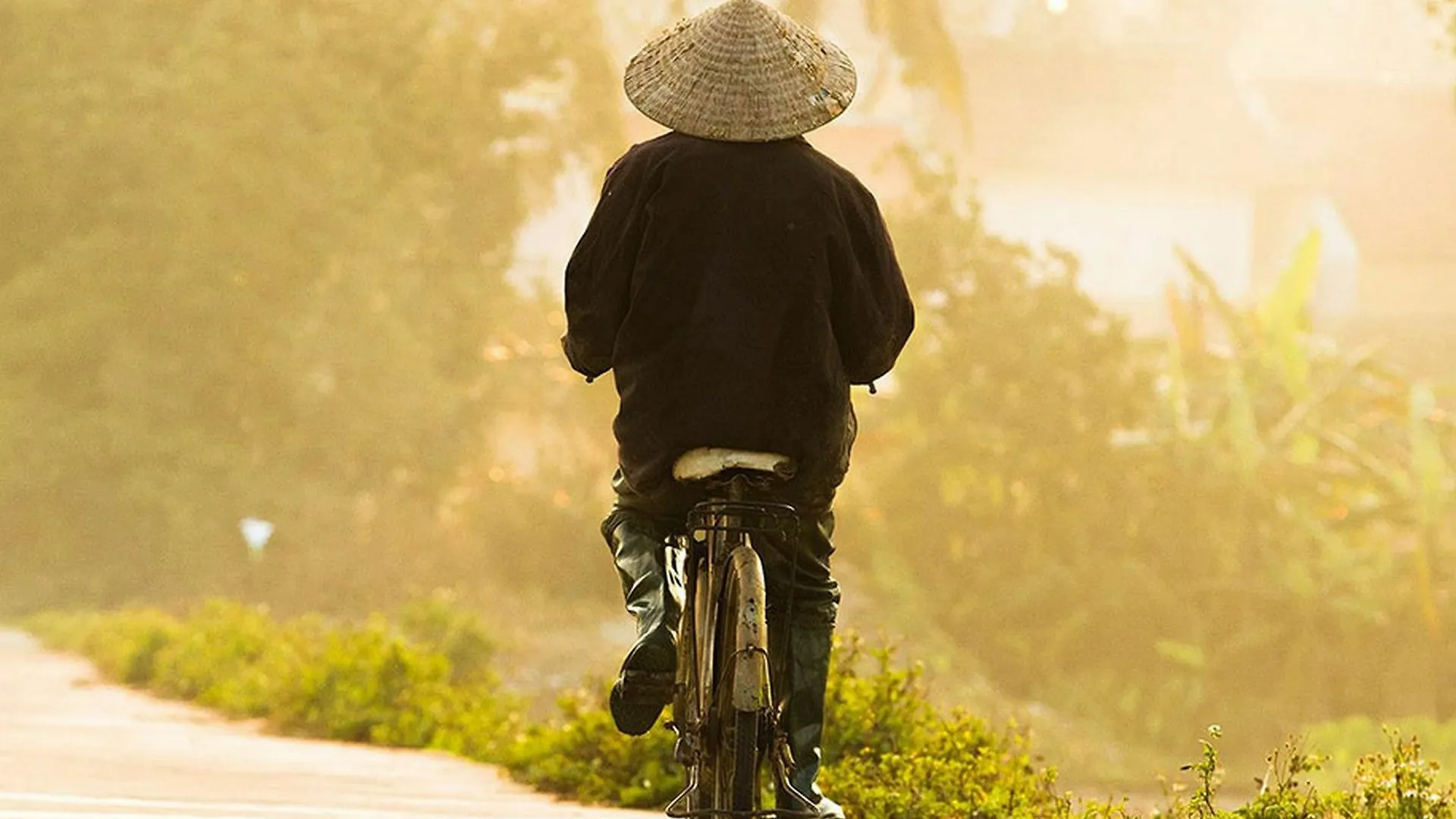 Hop Y Hoi An Homestay Vietnam