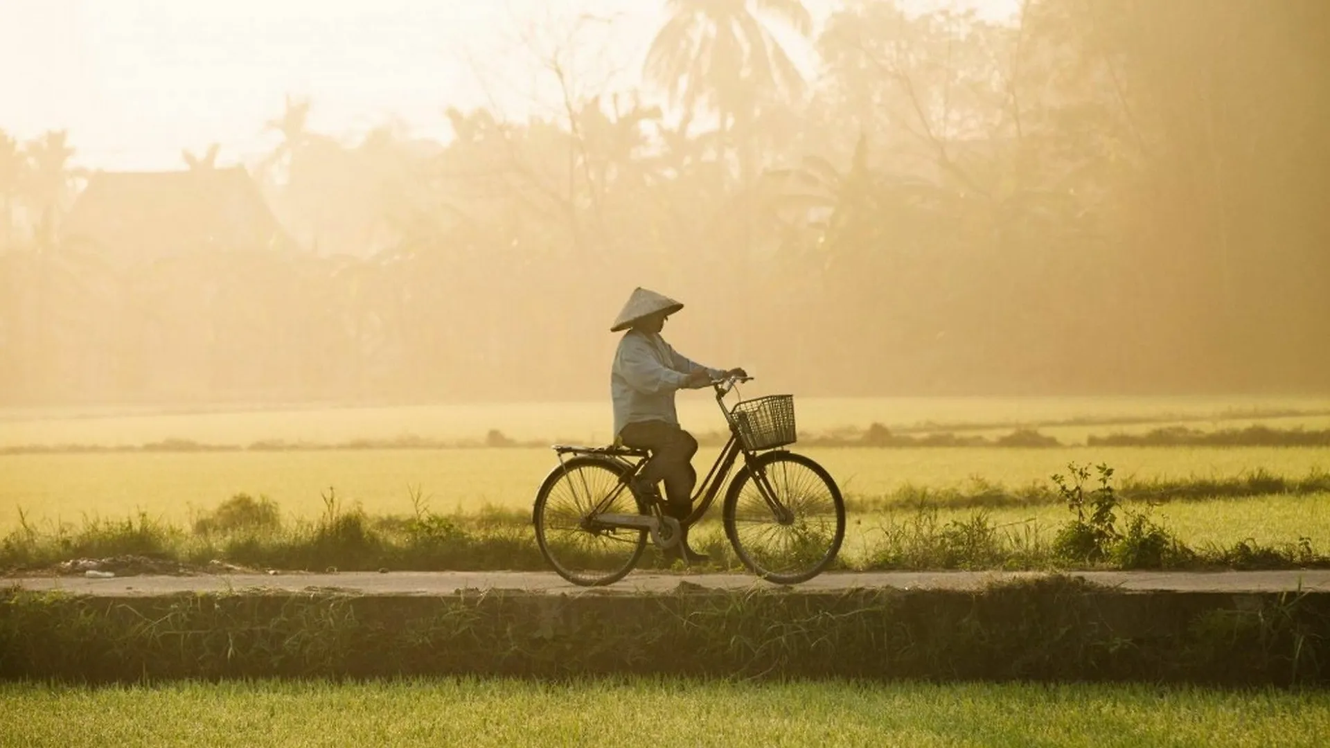 Hop Y Hoi An Homestay